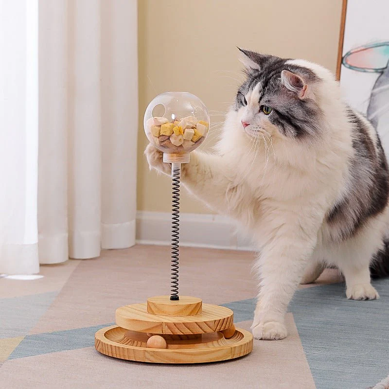 Cat Treats Dispenser Toy – Catnip Spring Slow Feeder Pet Toy