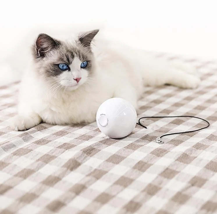 Smart Automatic Interactive Cat Toy Ball — White with Ragdoll Cat