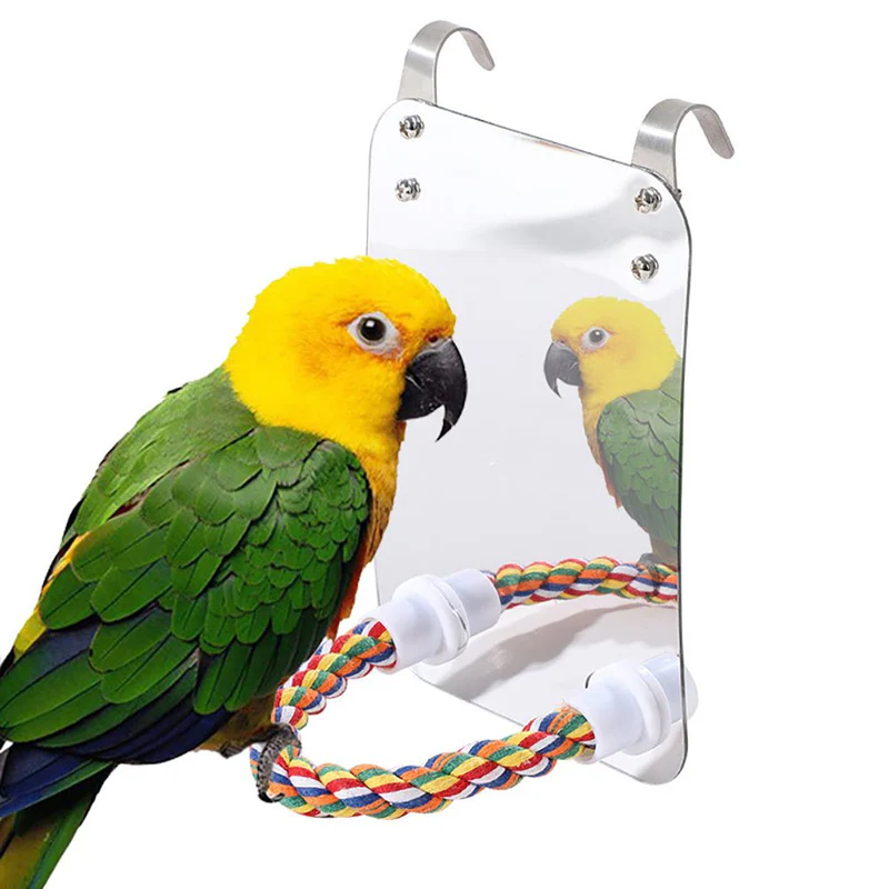 Parrot Toy Acrylic Bird Mirror with Standing Pole