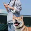 LED Night Light Automatic Retractable Dog Leash