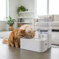 Two cats sharing a double automatic drinking bowl