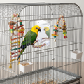 Green and yellow parrot looking at acrylic mirror toy