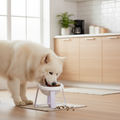 Fluffy dog eating from a white elevated ceramic pet bowl