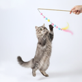 Grey cat jumping for colorful wool ball feather wand toy